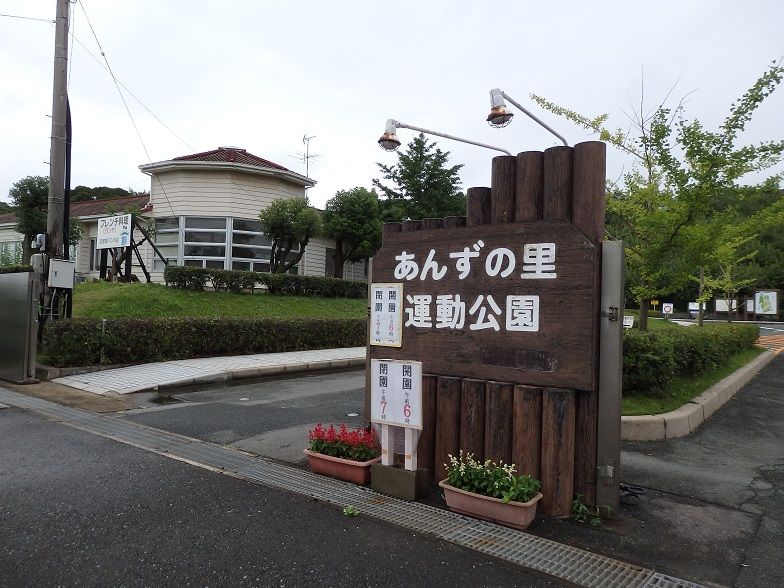 イメージ 16