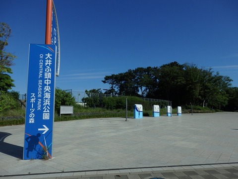 P5305811
