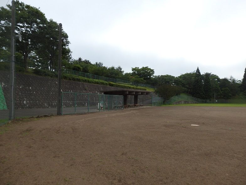 イメージ 5