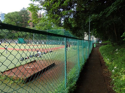 P5041792