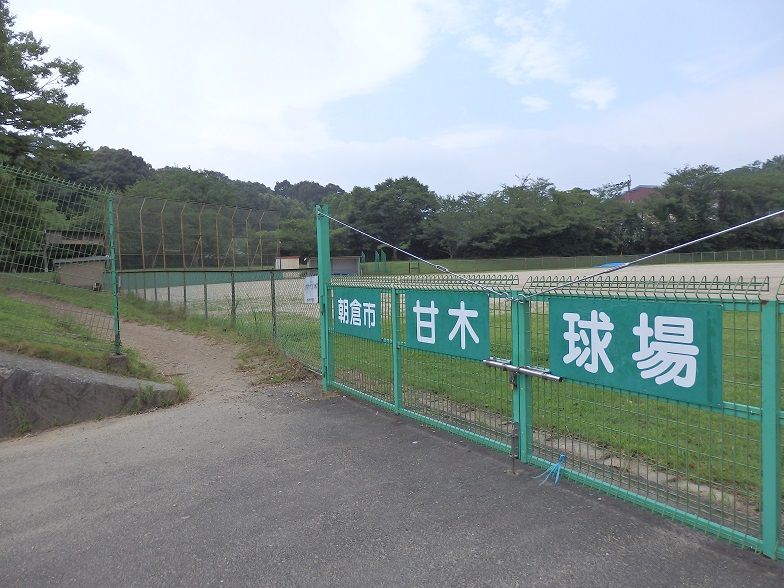 イメージ 7