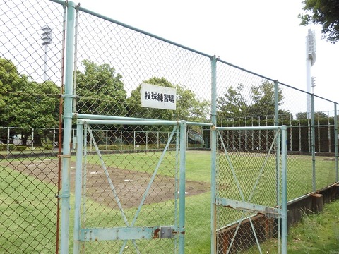 P5290226