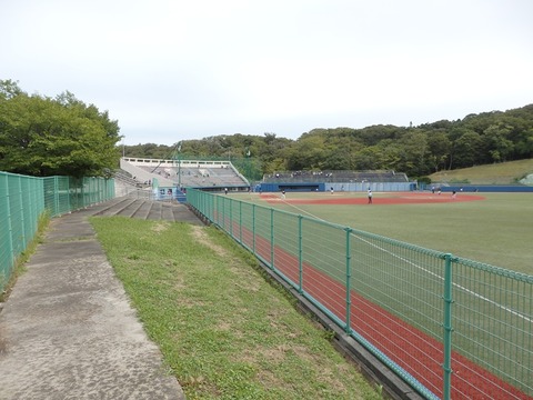 P9062446