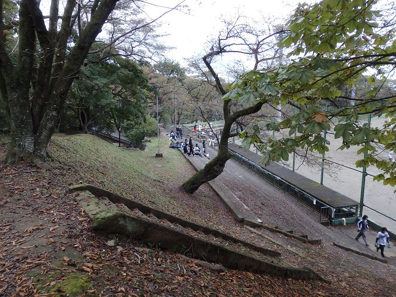 イメージ 11