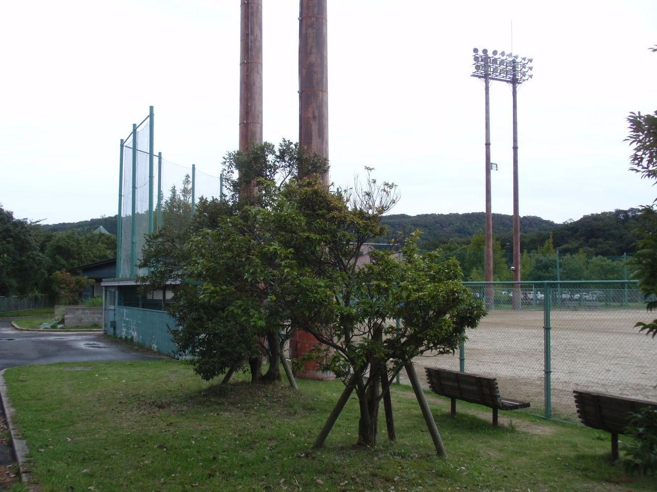 イメージ 7