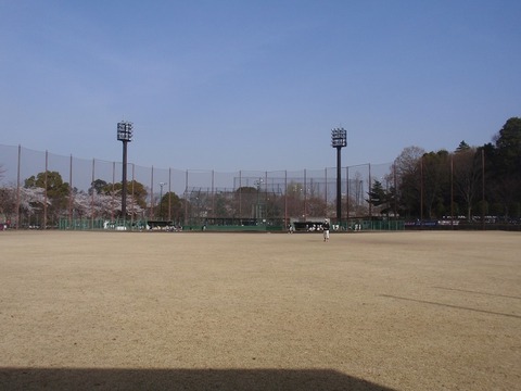 P4100046