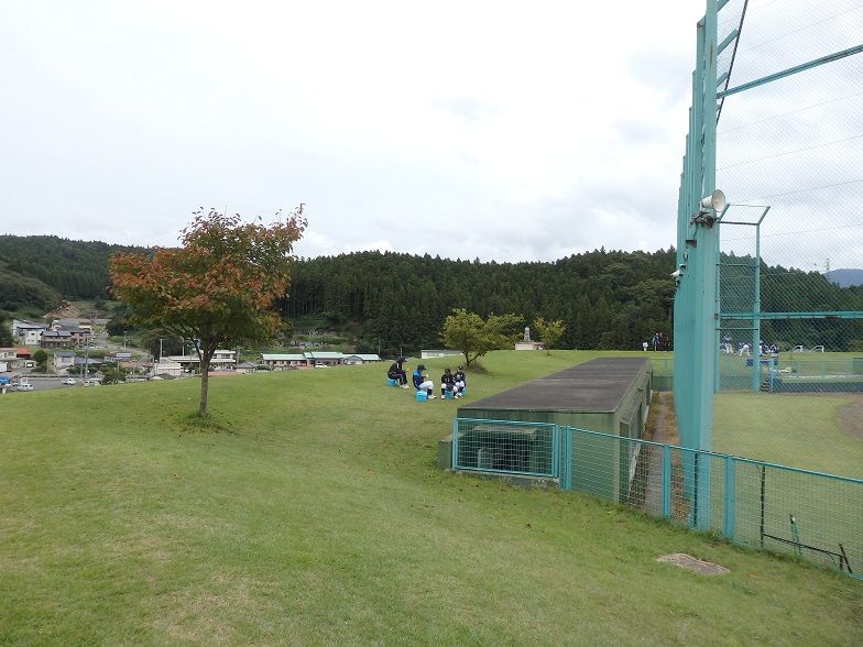 イメージ 7