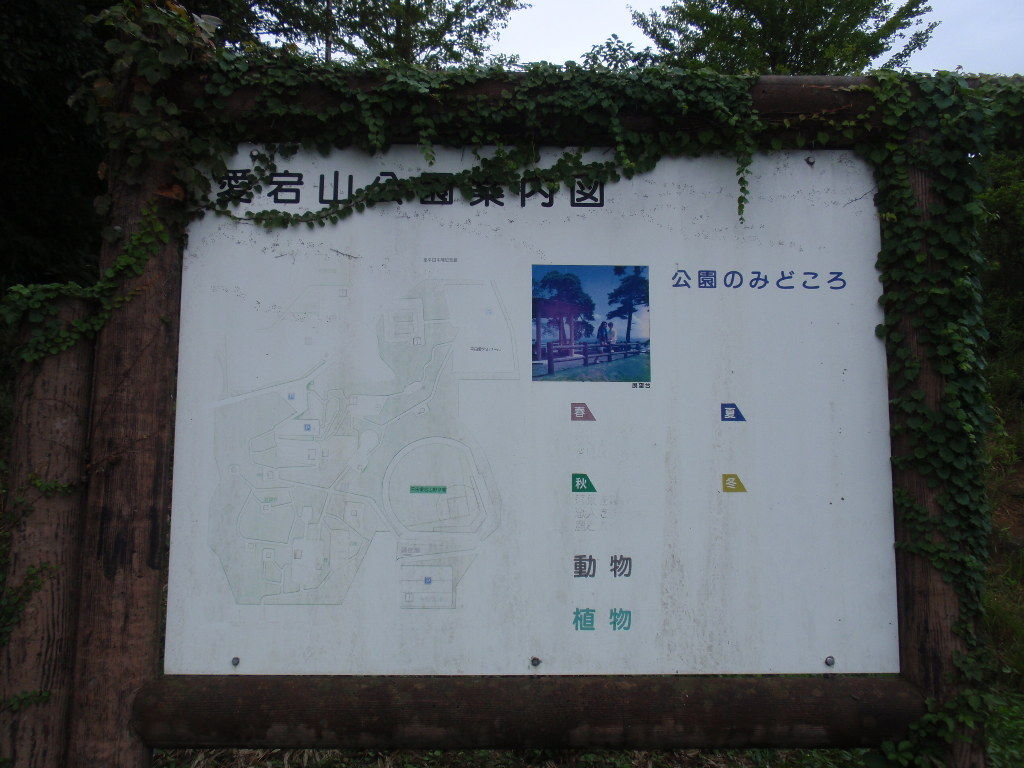 イメージ 17