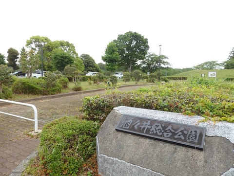 P5031295