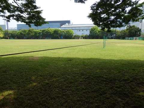 P5031550