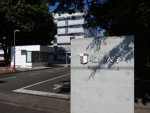 P5052902