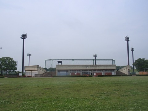 P6010008
