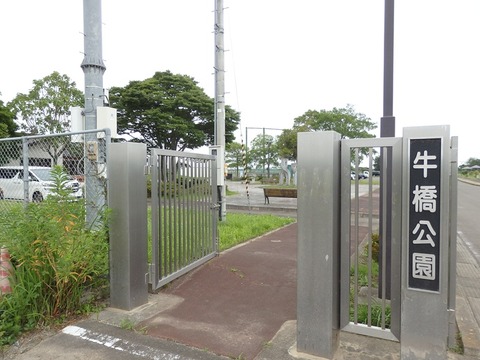 P7041154