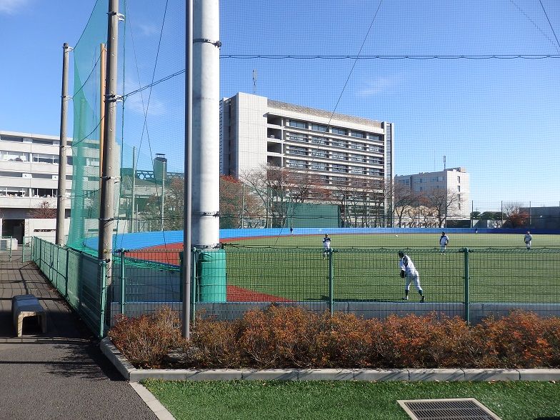 立教大学グラウンド 野球場巡り