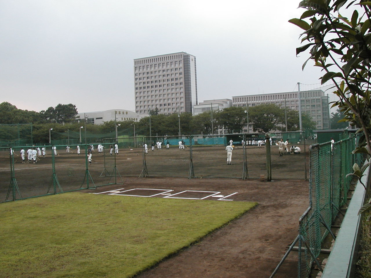イメージ 3