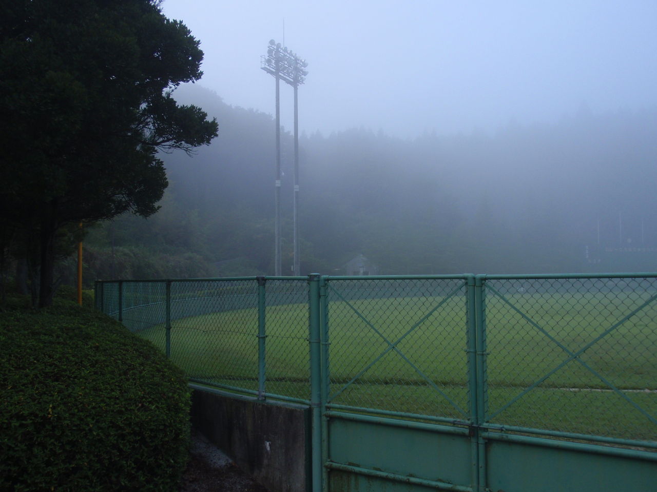 イメージ 14