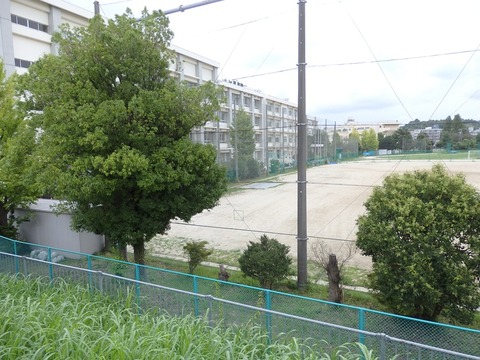 P8161495