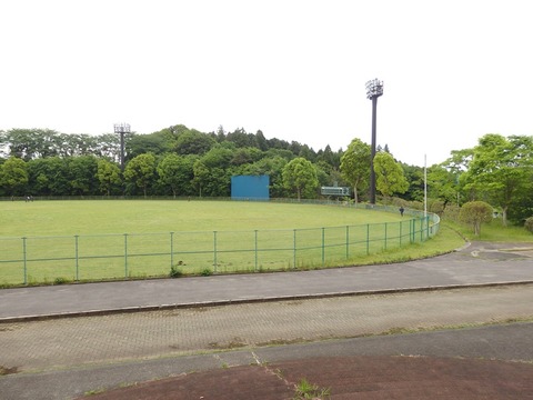 P5031312
