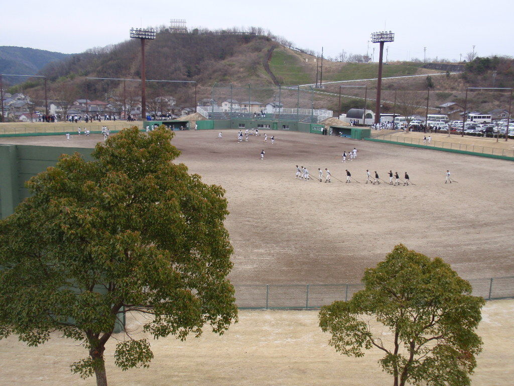 イメージ 7