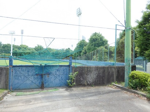 P5290231