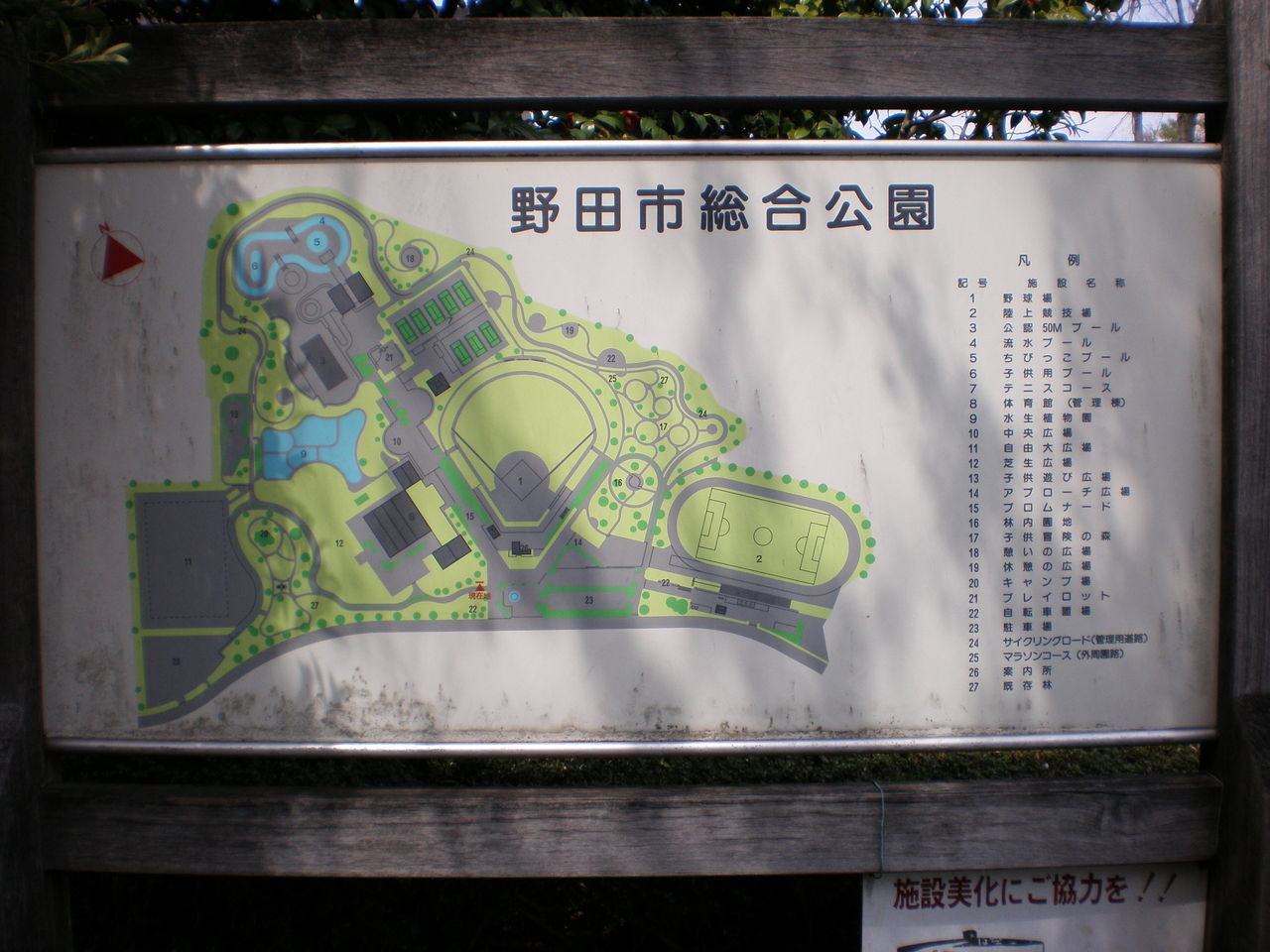 イメージ 6