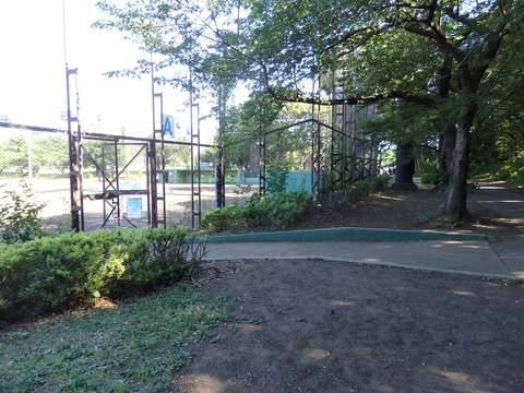 P5305796