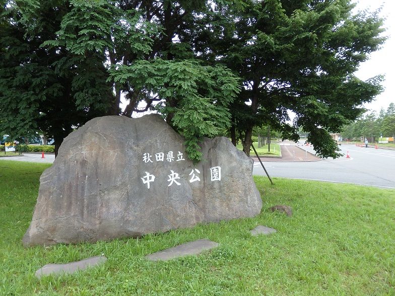イメージ 6