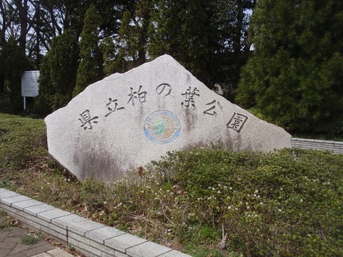 P4100104
