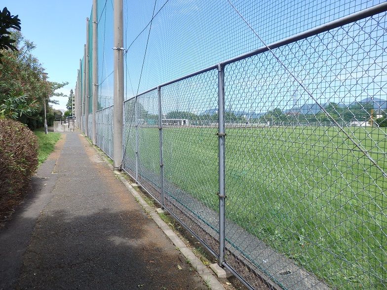 イメージ 12