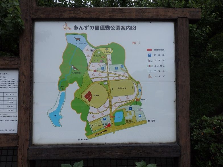 イメージ 17