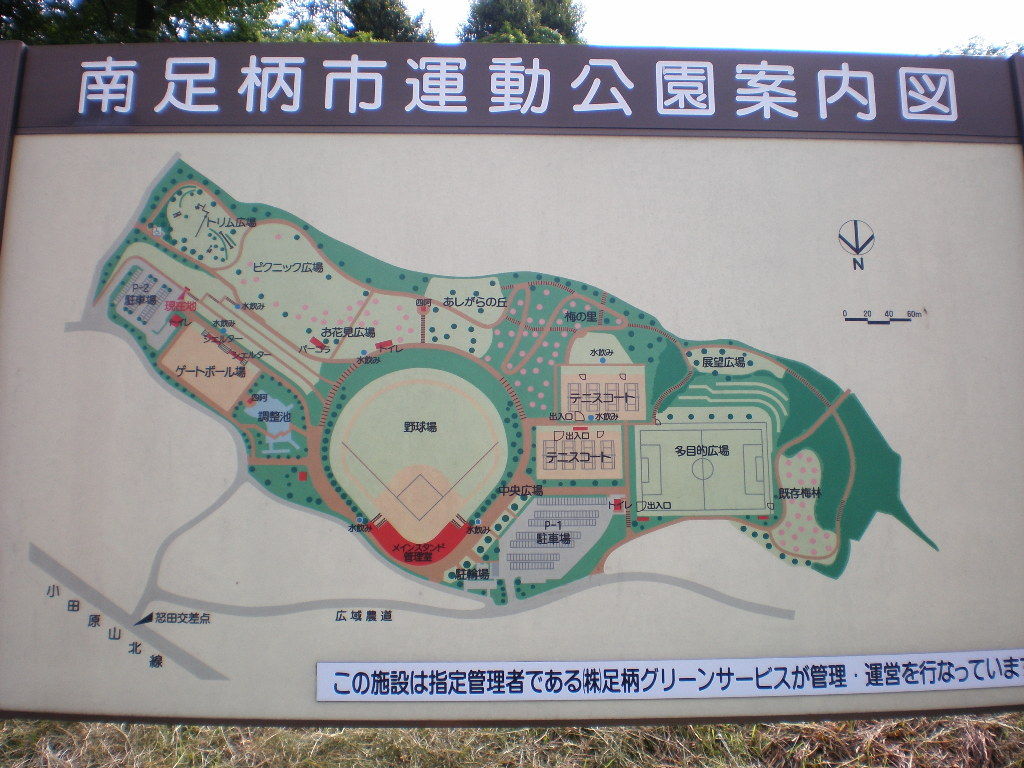 イメージ 9