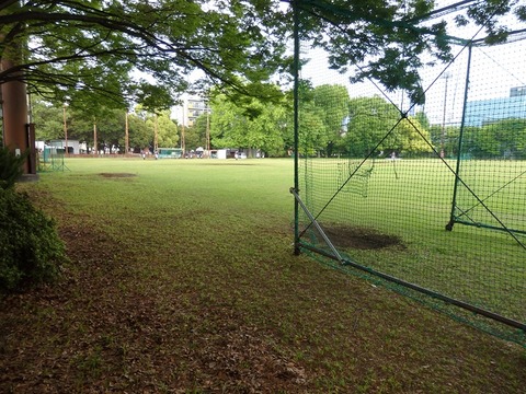 P5031699