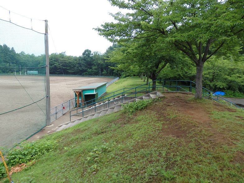 イメージ 6
