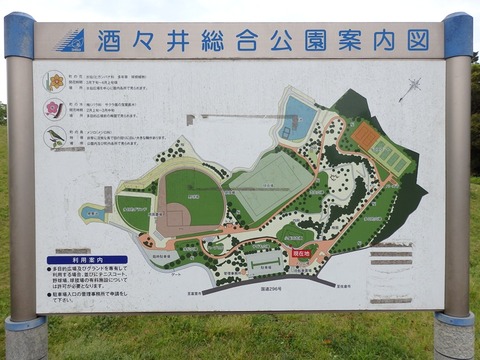 P5031301