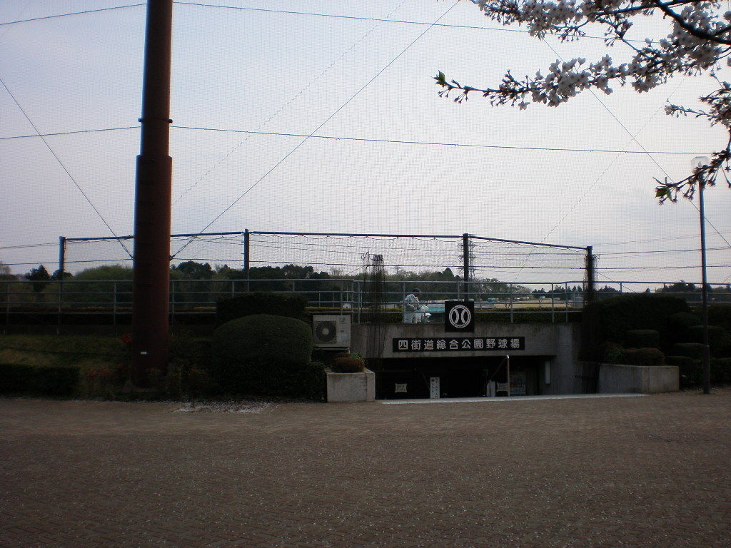 イメージ 6