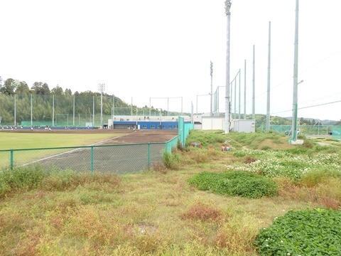 P4290813