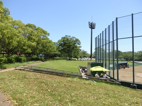 P5305493