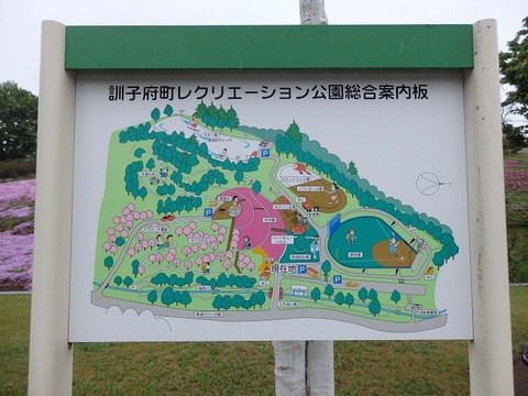 P5281215