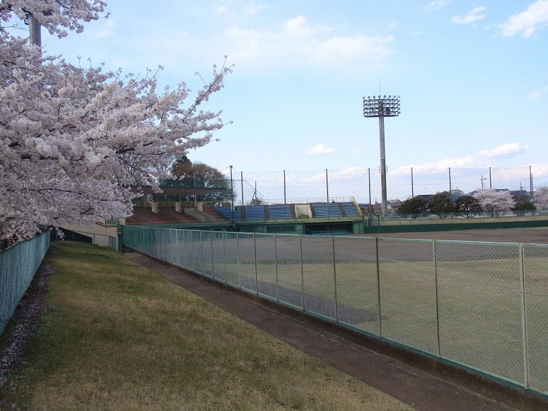 イメージ 9
