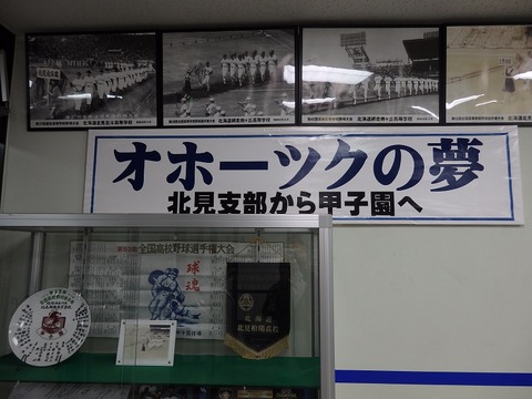 P5281354