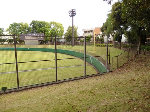P5021265