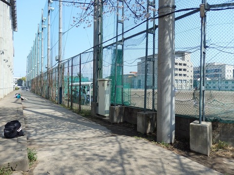 P3295391