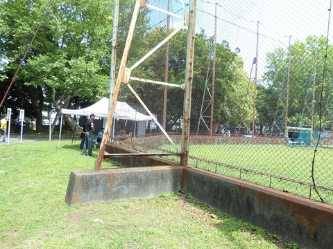 P5031558