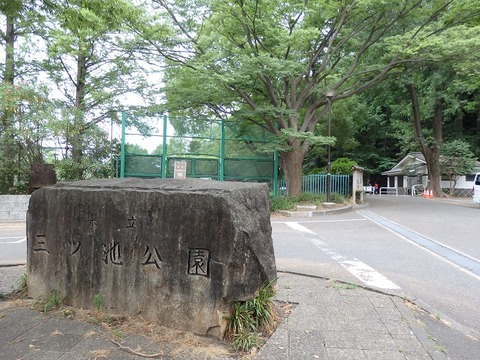 P7031808