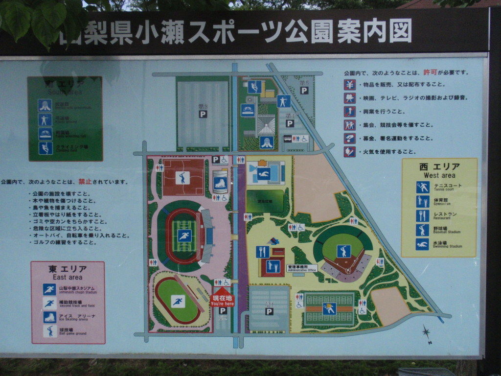 イメージ 7