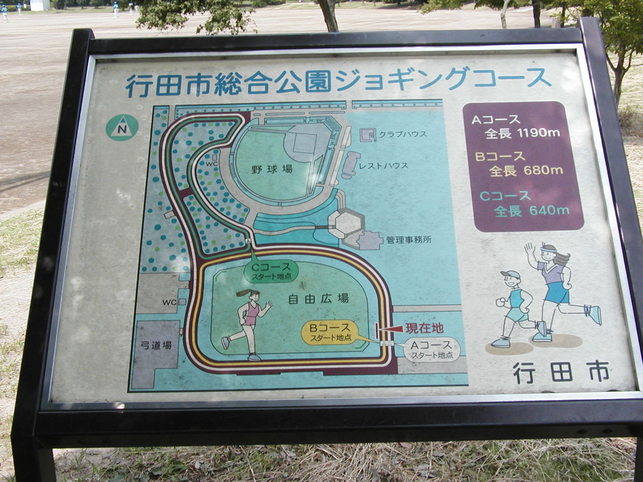 イメージ 6