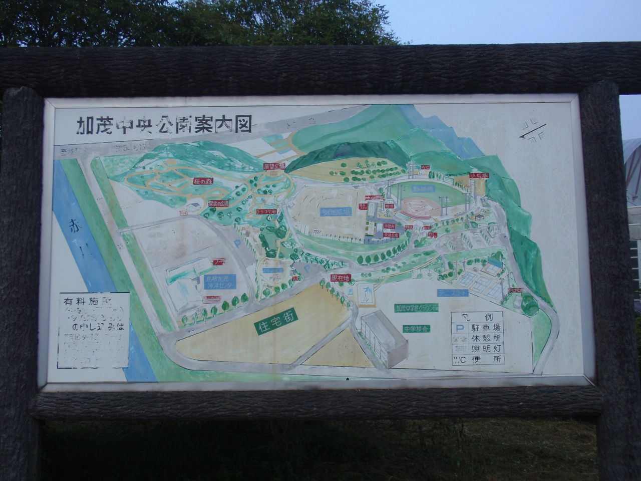 イメージ 18