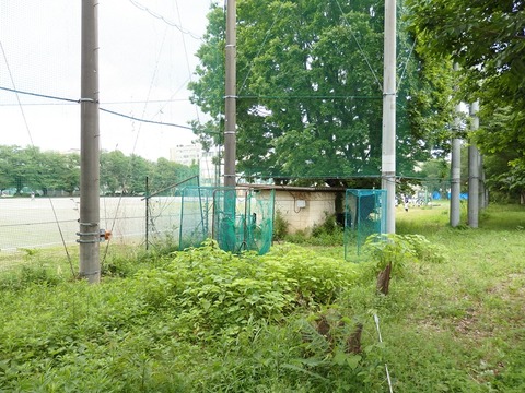 P5062955