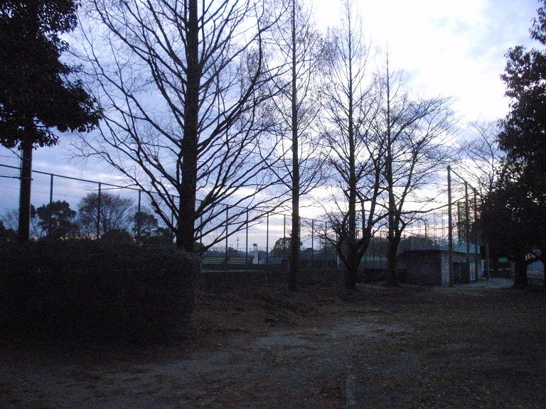 イメージ 4