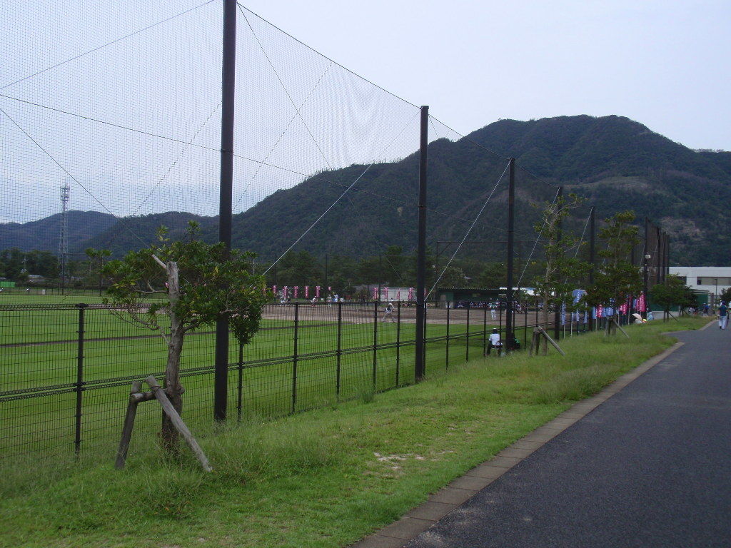イメージ 5